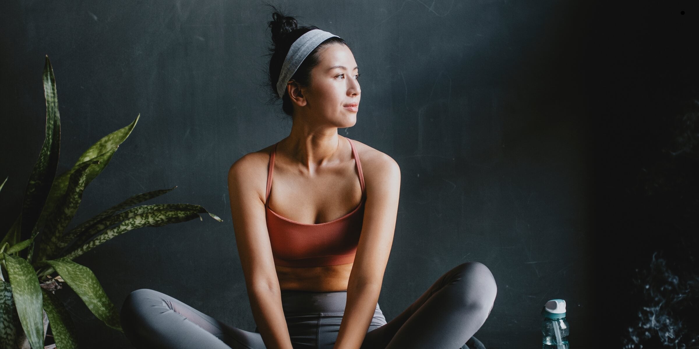 Vitamine und Nahrungsergänzungsmittel 2026: Der große Guide zu Wirkung, Trends und Biohacking